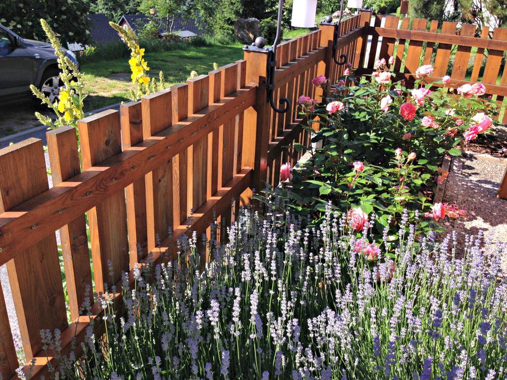 روكيتنسي ناد جيزيرو B&B Na Kopecku المظهر الخارجي الصورة